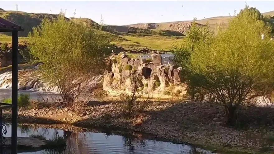 İnci kefalinin göçü turistlerin ilgi odağı oldu: Binlerce kilometreyi aşıp geldiler 1