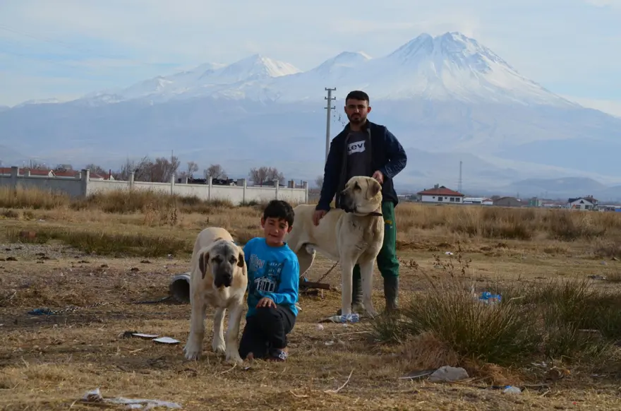 'Aksaray malaklısı' almak isteyenlere, 6 ay sonrası için gün veriliyor 'Aksaray malaklısı' almak isteyenlere, 6 ay sonrası için gün veriliyor
