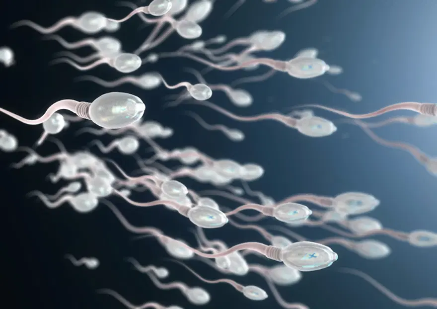 SPERM YAPISINI NELER BOZUYOR? 8 SPERM YAPISINI NELER BOZUYOR? 8