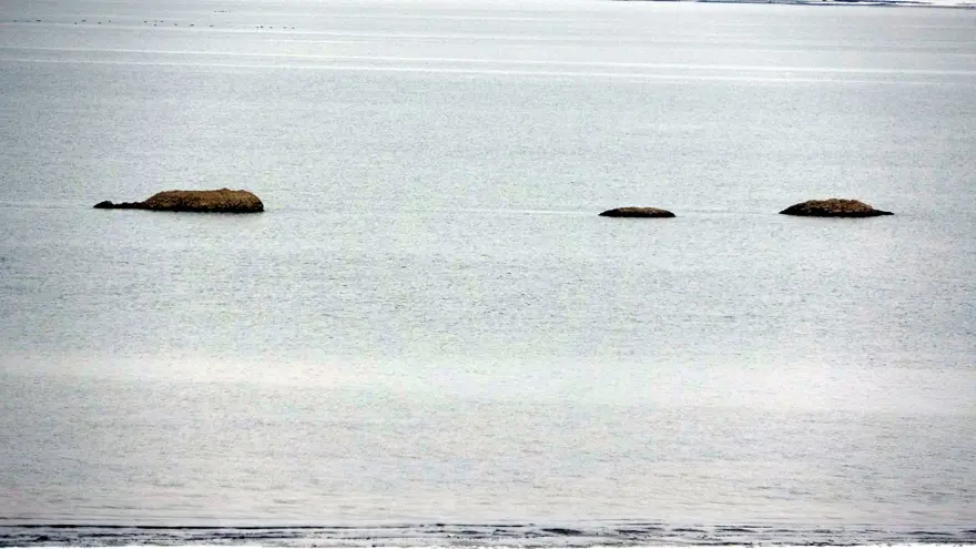 Flamingoların uğrak noktasında adacıklar oluştu 