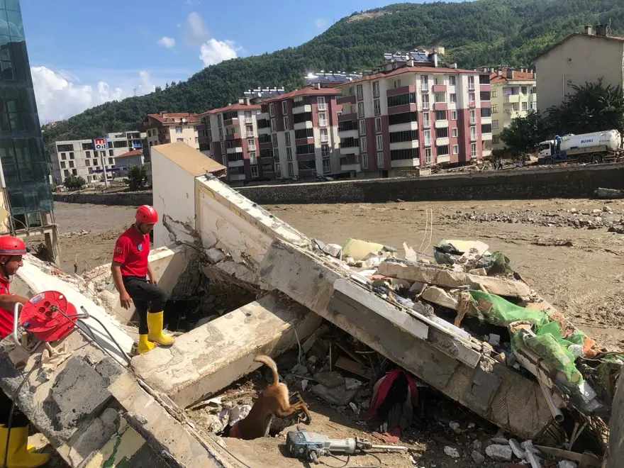 Kadavra köpekleri su altında sekiz ceset buldu 10