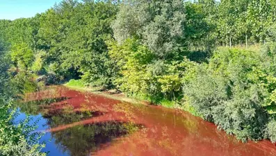 Mudurnu Çayı kıpkırmızı oldu