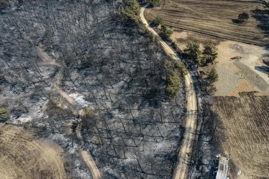 Çanakkale'de orman yangını kontrol altında 12