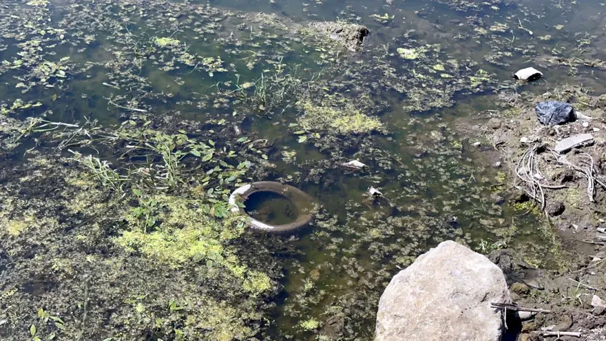 Meriç Nehri'nde kritik seviye aşıldı 1