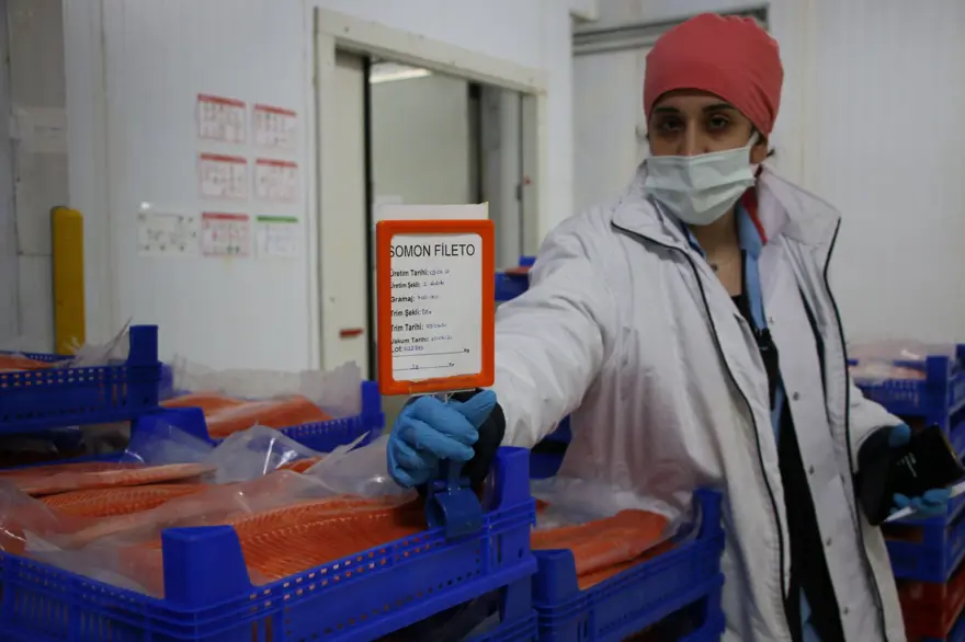 Elazığ'dan dünyaya Türk Somonu 19