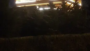 AYM üyesinin "Işıklar yanıyor" paylaşımına tepki