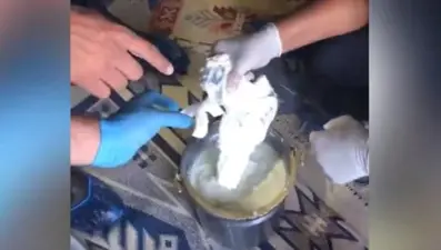 Yoğurt kaplarından kaçak silah çıktı