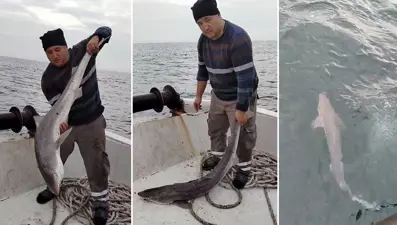 Bartın'da balıkçıların ağına köpek balığı takıldı