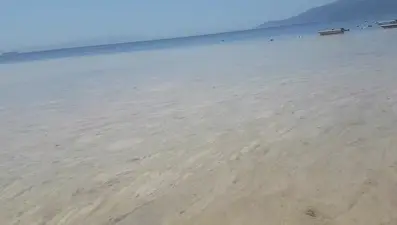 Marmara’da endişelendiren görüntü: 2021 yılına benzer bir kriz yaşanabilir