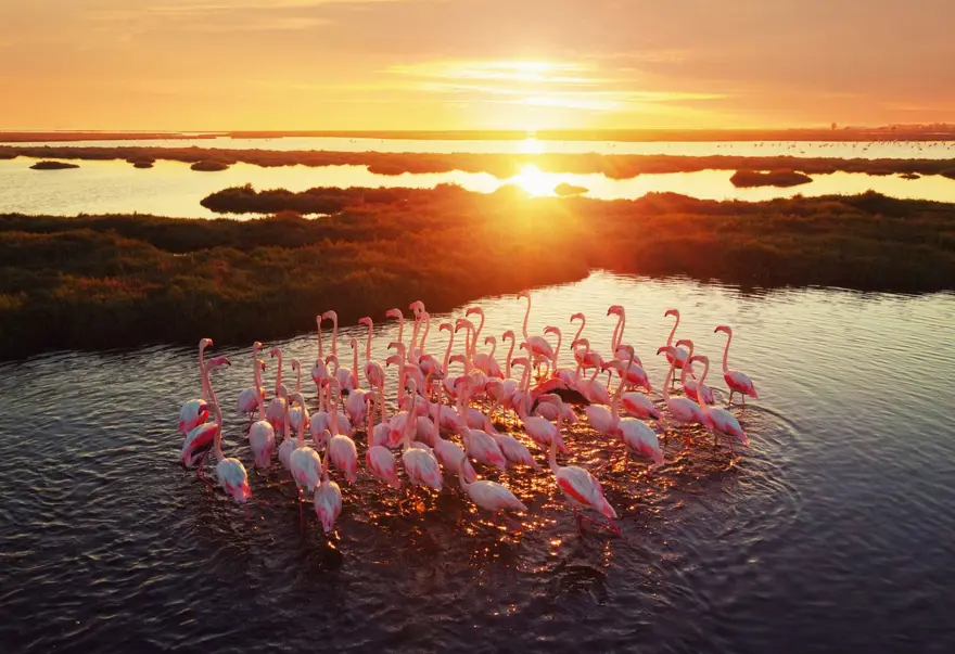 Uzmanı açıkladı: Ağrıyı hafifletici bir etkisi var 2