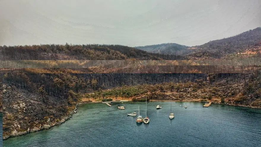 Bodrum ve Milas'ta yanan alanlar havadan görüntülendi 10 Bodrum ve Milas'ta yanan alanlar havadan görüntülendi 10