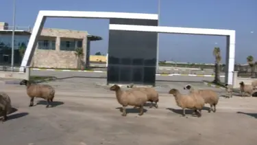 Milyonlar harcanan otogar çürümeye terk edildi