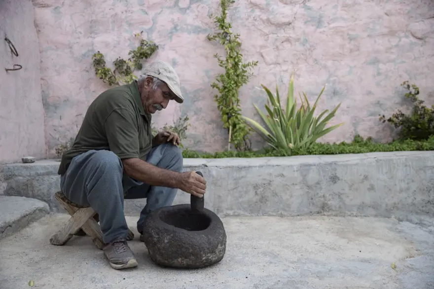 Kahve gibi içiyorlar! Kilosu 400 liraya alıcı buluyor 7
