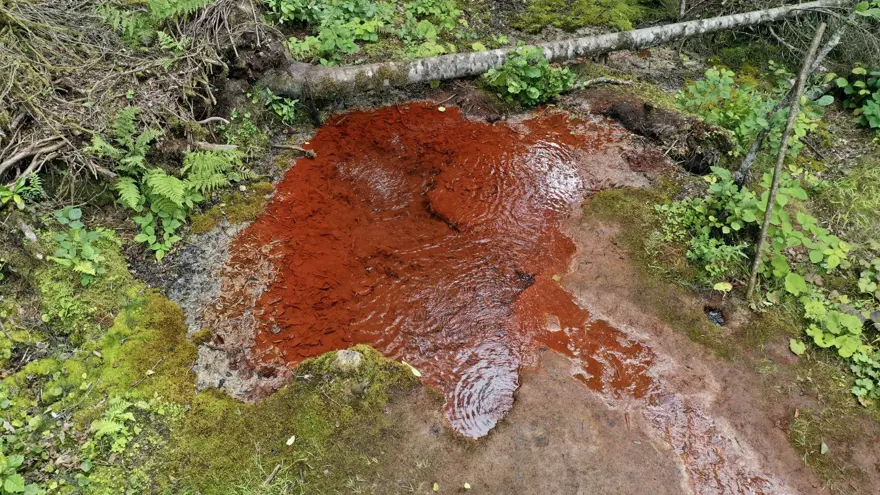 1800 rakımda, doğa tutkunlarının rotası: Kızıl renkteki suyu ilgi görüyor 2