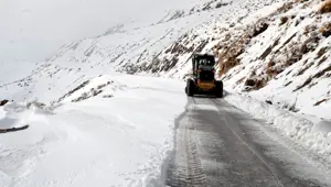 Kahramanmaraş'ta kar ve tipi: 199 köy yolu ulaşıma kapandı