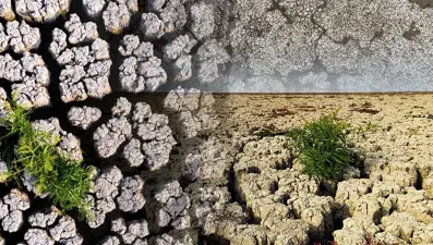 Mars değil, Marmara Gölü