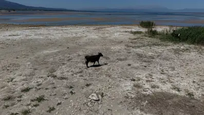 Türkiye'nin en büyük tatlı su gölü kurumak üzere: "Göl vefat etti! Türkiye'nin başı sağ olsun"