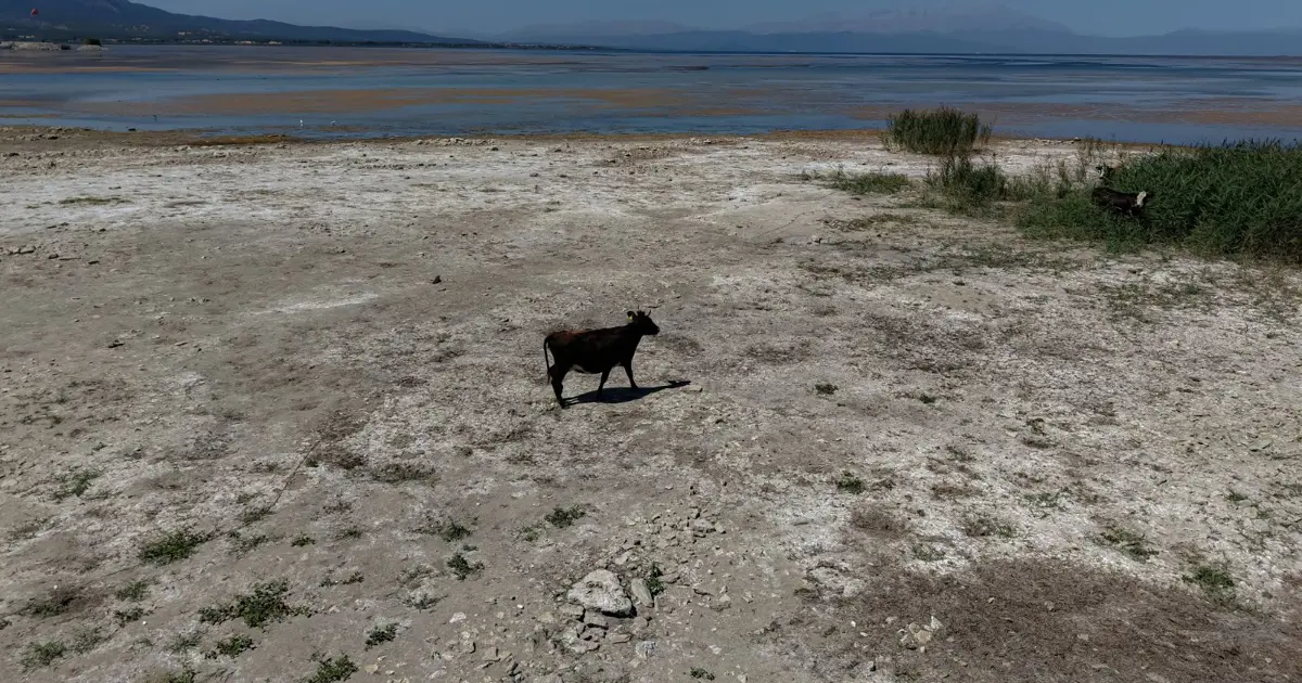 Türkiye’nin en büyük tatlı su gölü kurumak üzere: “Göl vefat etti! Türkiye’nin başı sağ olsun”