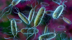 En güçlü antibiyotiğe dirençli bakteri endişe yarattı