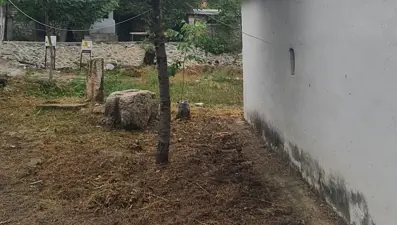 Teslim Abdal Sultan Türbesi tepkilerin ardından temizlendi