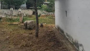 Teslim Abdal Sultan Türbesi tepkilerin ardından temizlendi