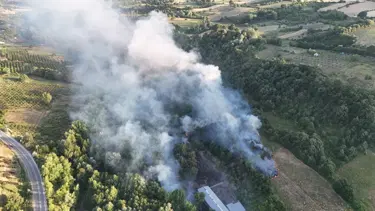Bursa'da çöplükteki yangın ormana sıçradı