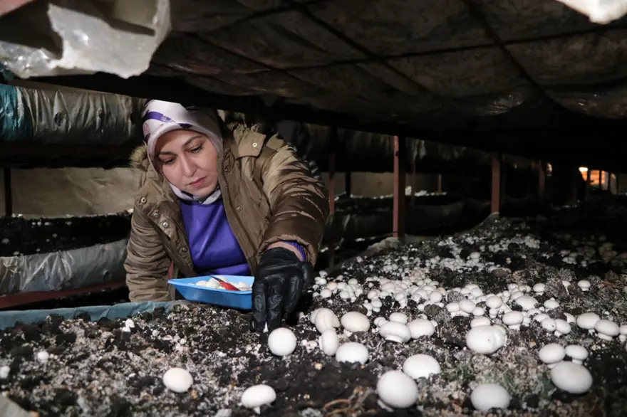 Devlet desteğiyle kurdu: 45 günde 70 ton üretiyor 4