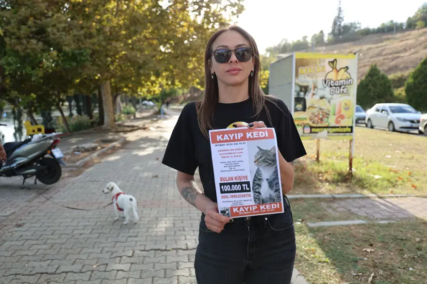 Kedisi kayboldu, bulana 100 bin lira ödül verecek: "3 gündür ağlamaktan uyuyamıyorum" 