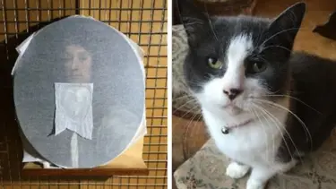 17. yüzyıldan kalma tabloya kedi tırmığı