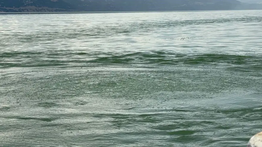 Eğirdir Gölü'nde korkutan görüntü: Gaz çıkışı kaynaklı olabilir 2
