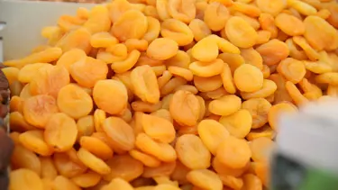 Depremde büyük zarar görmüşlerdi! İki yılda 819 milyon dolar kazandırdı