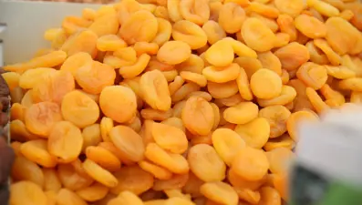 Depremde büyük zarar görmüşlerdi! İki yılda 819 milyon dolar kazandırdı