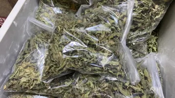 Stresi azalttığı söyleniyor: Yoğun talep var