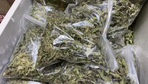 Stresi azalttığı söyleniyor: Yoğun talep var