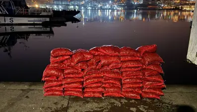 Beyoğlu'nda yasak yolla midye çıkartan kişiye 26 bin lira ceza