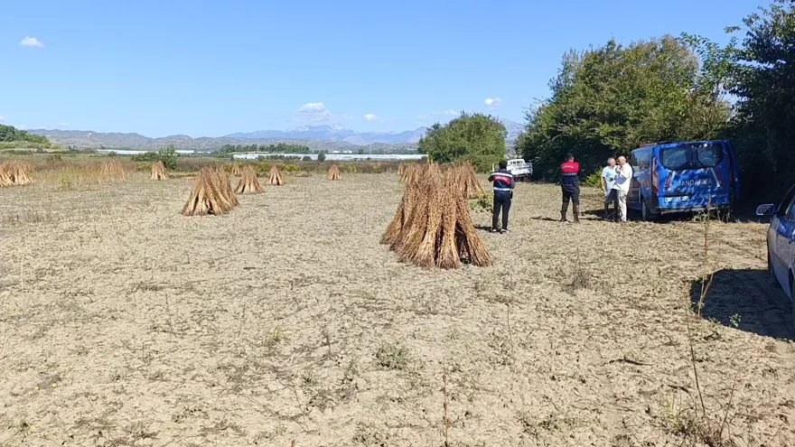 Altın Susam'a hırsız dadandı: Motosikletle gelip çalmışlar 4