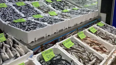 Tezgahta balık fiyatları: Kilogramı 120 ila 200 liradan satılıyor