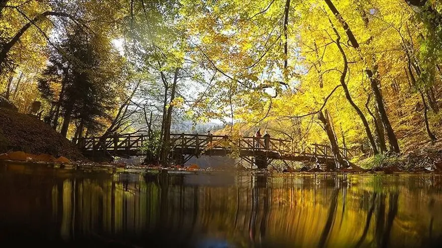 SONUÇLAR BAKANLIK SAYFASINDAN DUYURULACAK 3