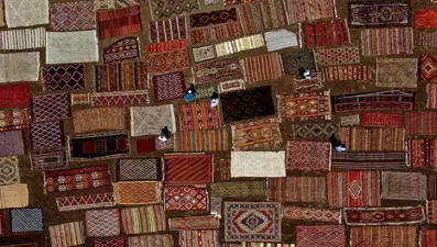 Buğday arazileri halı tarlasına dönüştü (ABD, Fransa veAlmanya’ya satılıyor)