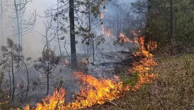 Tavşanlı'da yıldırım yangını