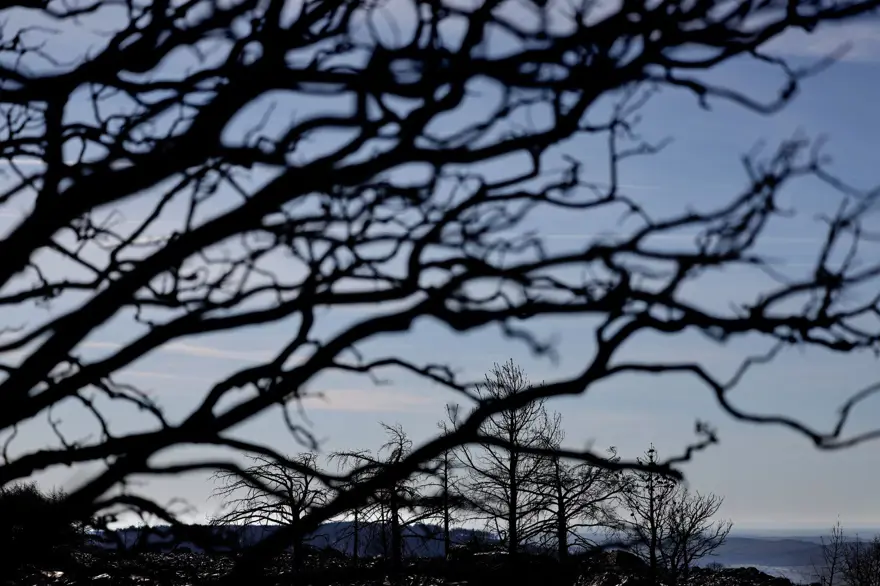 İspanya'daki orman yangınları üç haftadır devam ediyor: 20 bin hektar kül oldu 10