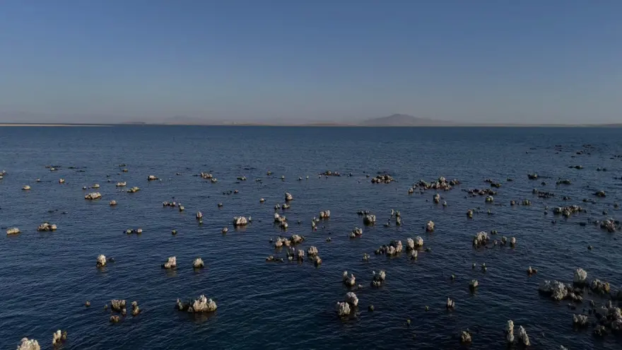 Van Gölü'nde endişelendiren görüntü 4 Van Gölü'nde endişelendiren görüntü 4