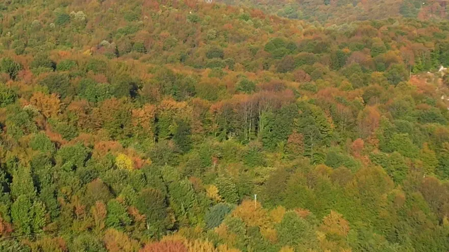 Zonguldak ormanlarında sonbahar renkleri havadan görüntülendi 2