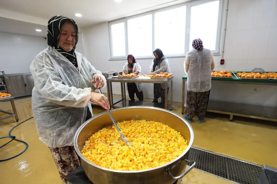 Nilüfer'de üretilecek: İstanbul ve Eskişehir tüketecek 5