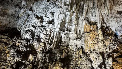 Türkiye'deki en büyük 4 mağarasından birisi! Sarıkaya Mağarası 'kesin korunacak hassas alan' ilan edildi