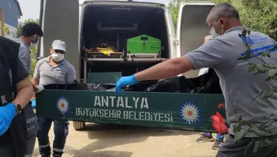 Ev sahibinin fark ettiği koku, kiracının ölümünü ortaya çıkardı