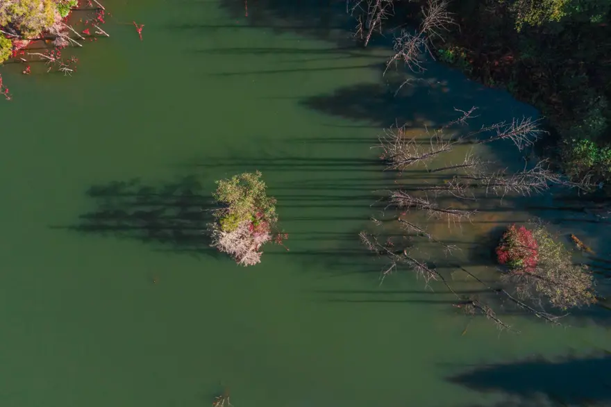 Artvin'den masalsı sonbahar manzaraları 13