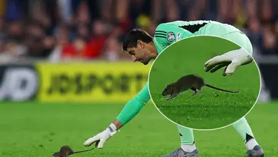 Maça damga vuran an: Yıldız kaleci fareyi yakalamaya çalıştı