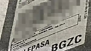 Kayıp dalak için soruşturma başlatıldı Kayıp dalak için soruşturma başlatıldı