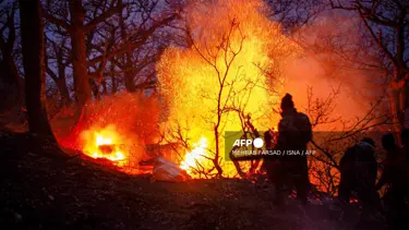 İran, orman yangınları için yardım çağrısında bulundu